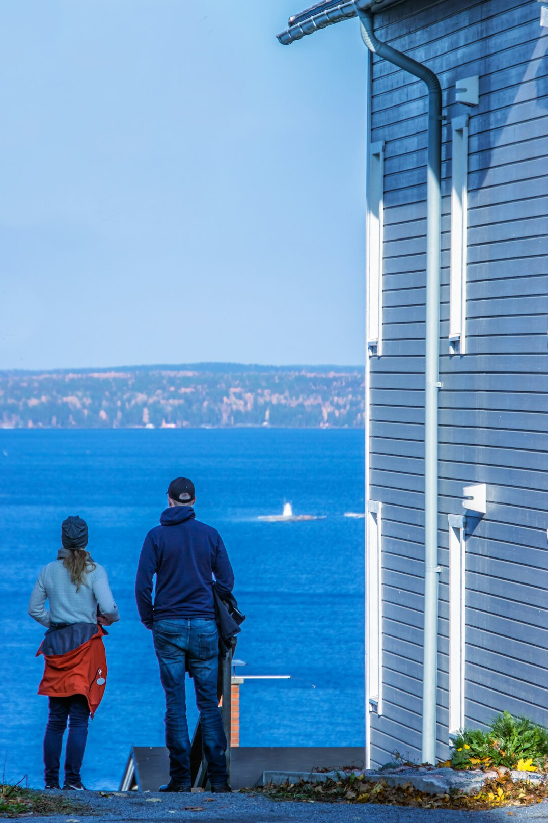 person looking at horizon